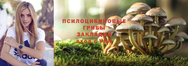 PSILOCYBIN Алзамай