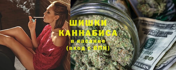 PSILOCYBIN Алзамай