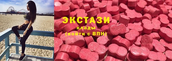 PSILOCYBIN Алзамай
