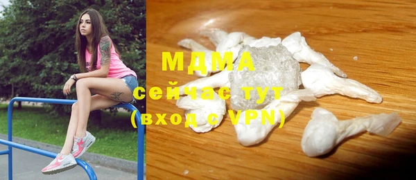 PSILOCYBIN Алзамай