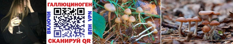 OMG как войти  Нестеров  Галлюциногенные грибы MAGIC MUSHROOMS 