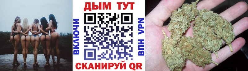 Бошки марихуана марихуана  Нестеров 